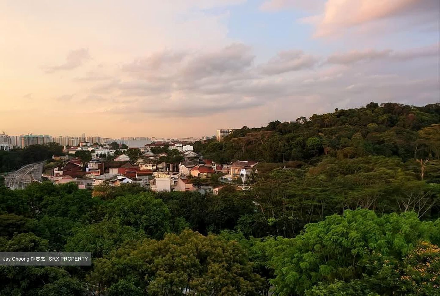 Dunearn Road (D11), Condominium #559103301